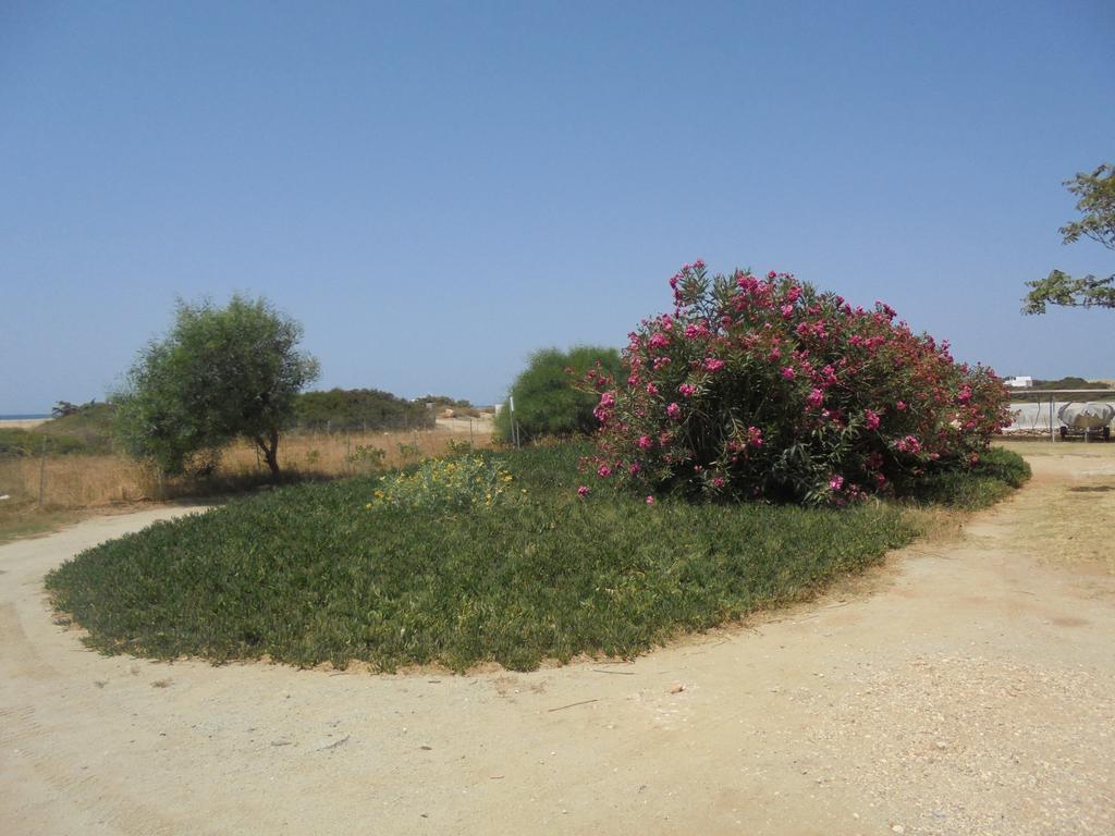 Anastasia Aliko Beach Екстер'єр фото